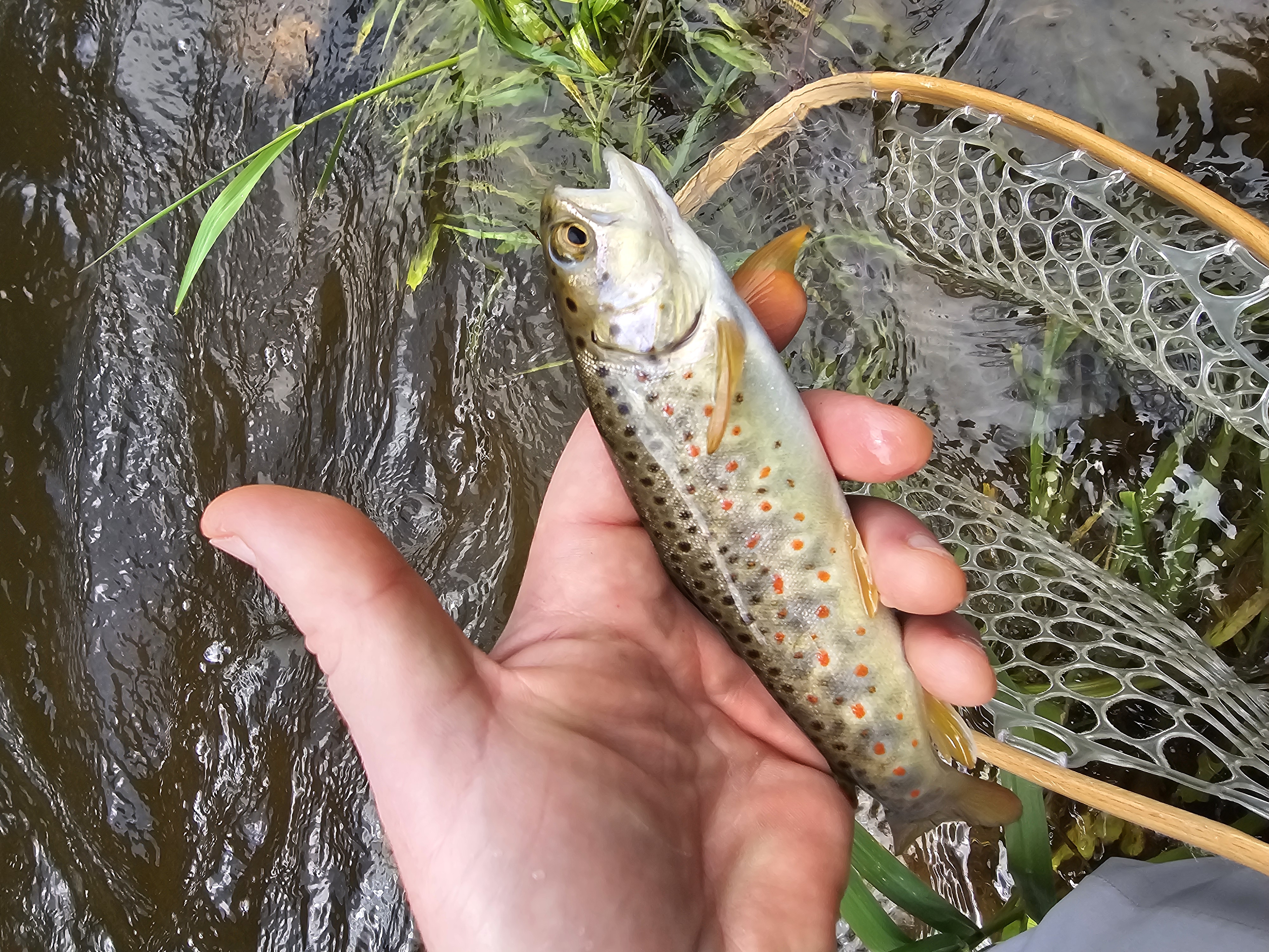Fishing