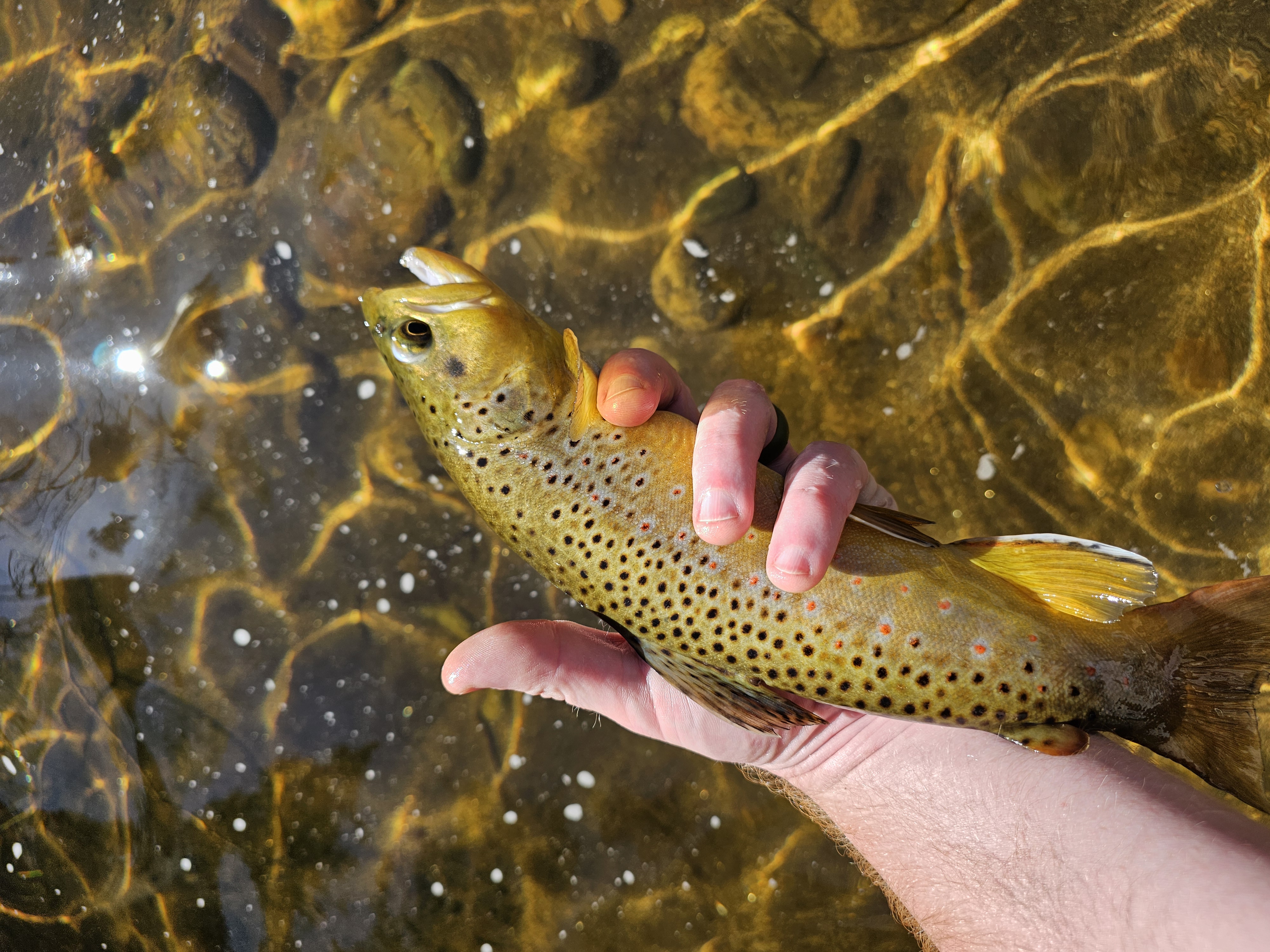 Fishing photo