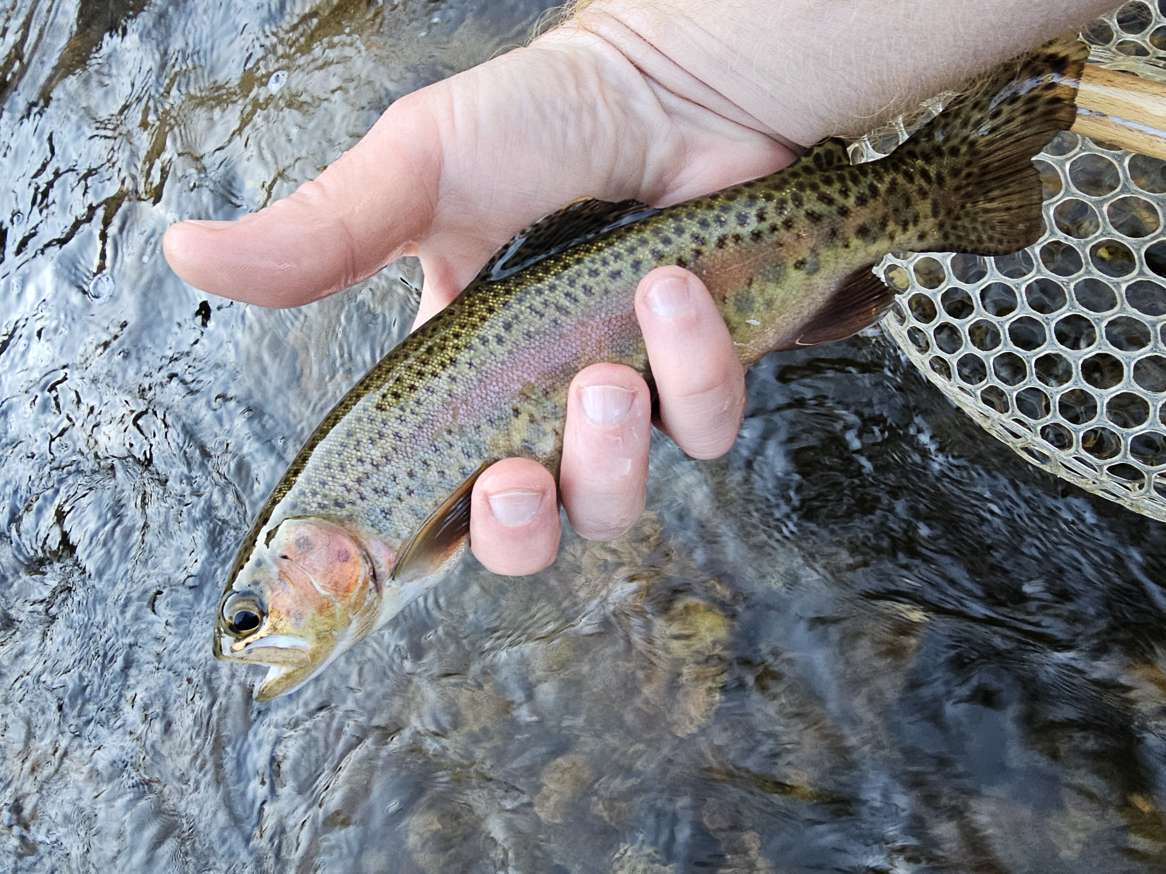 Fishing photo