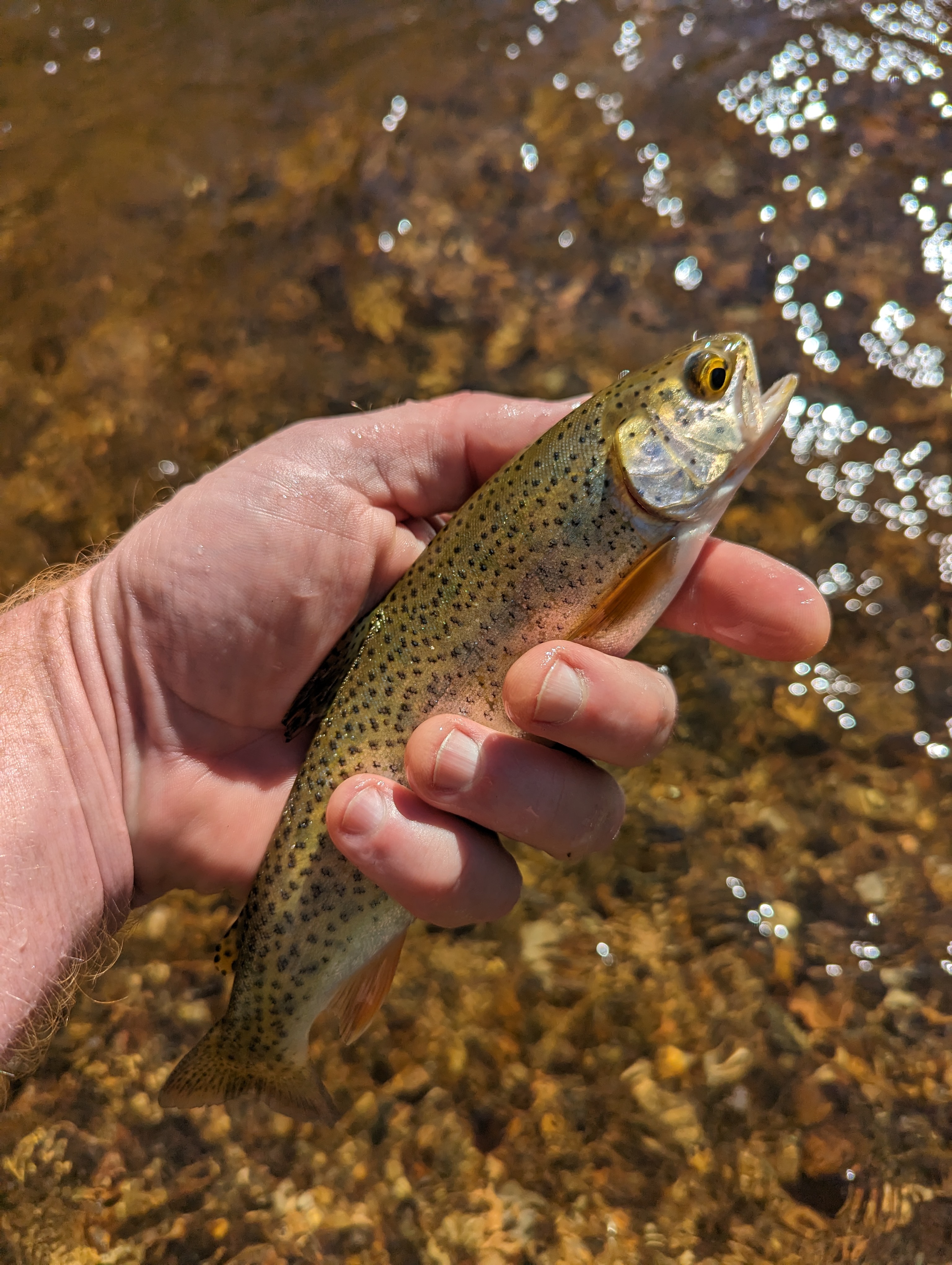 Fishing photo